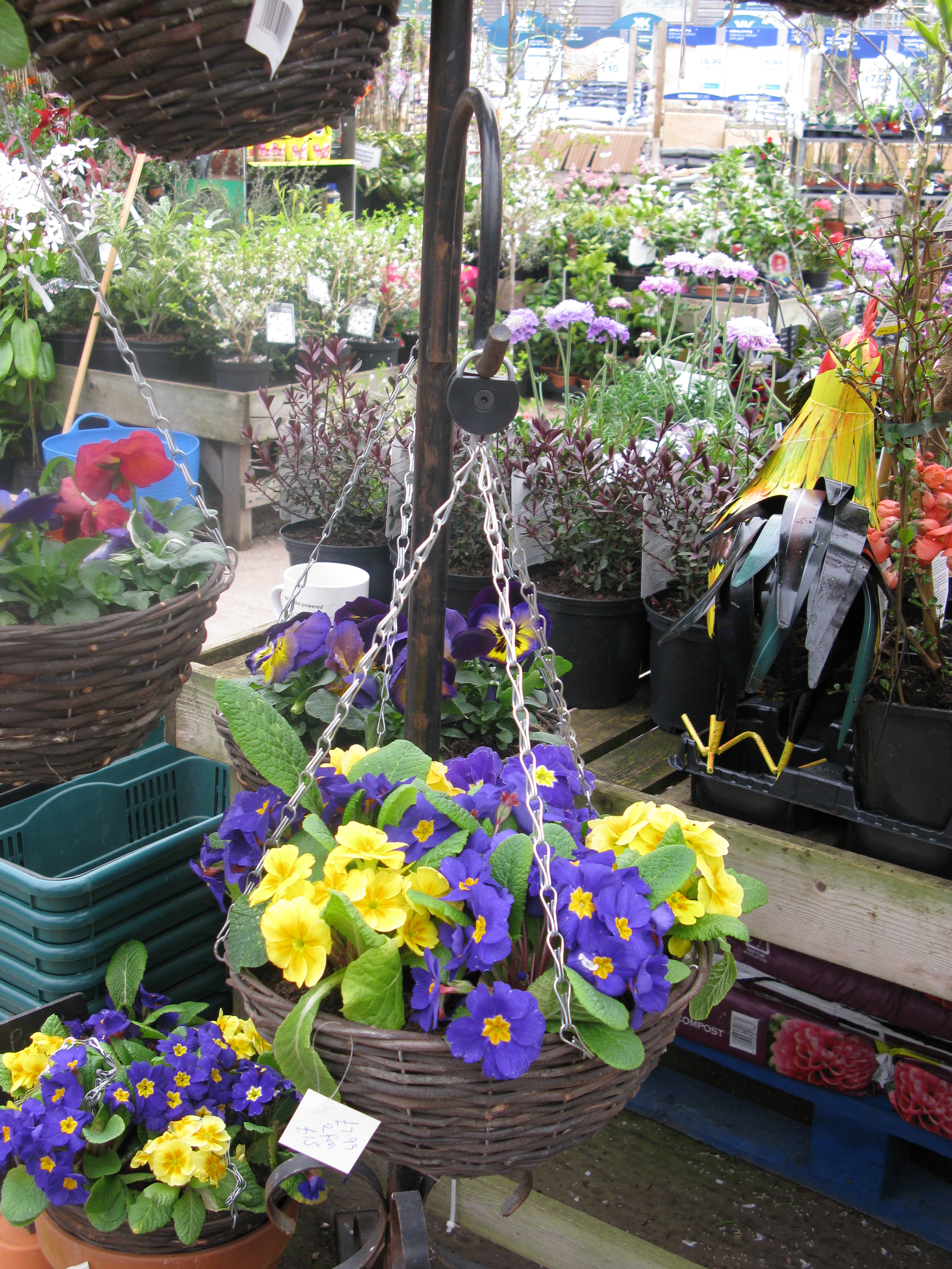 Securing your hanging baskets Baskit Geni